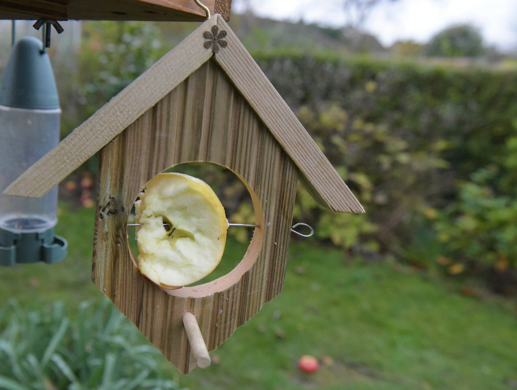 Competition Time 🎉 - WIN a free Hanging Bird Feeder!