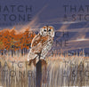 British Wildlife Illustrations Giclée Print Framed Collection - Set of Six