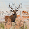 British Wildlife Illustrations Giclée Print Framed Collection - Set of Six